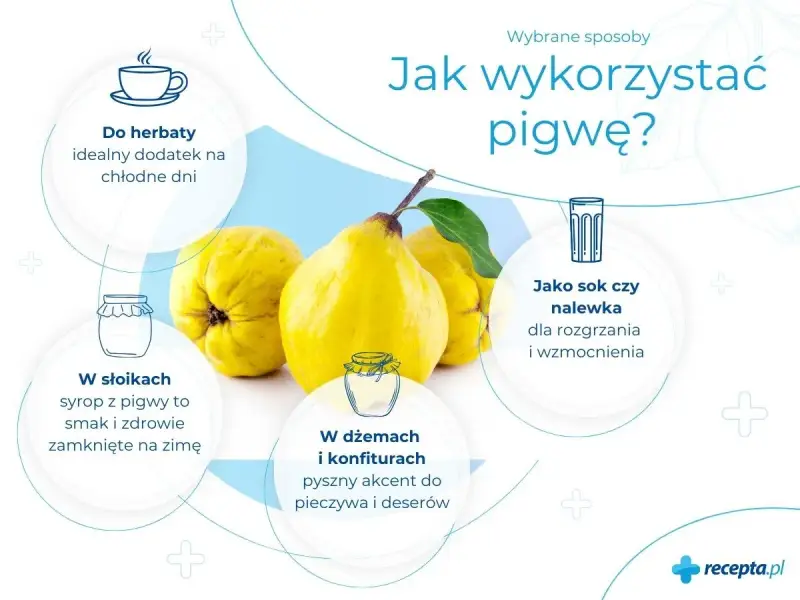 Pigwa: idealny dodatek do herbaty, syrop na zimę, sok, nalewka, dżem. Dowiedz się, co to pigwa i jak ją wykorzystać.